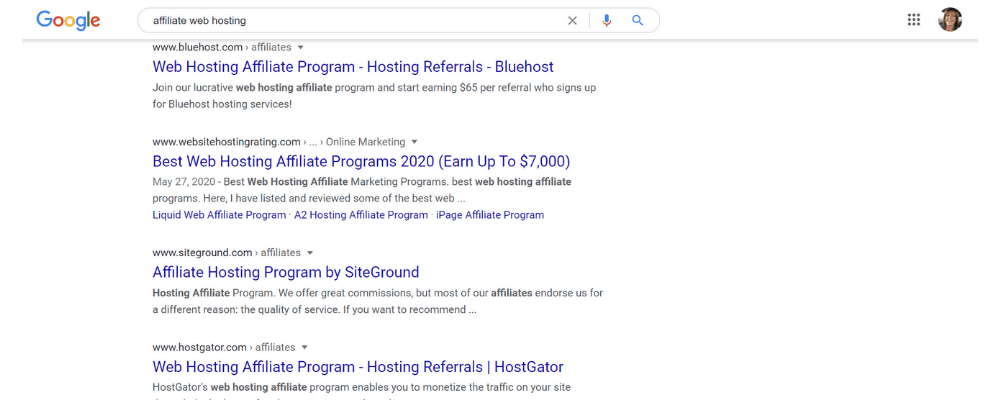screenshot of web hosting on google