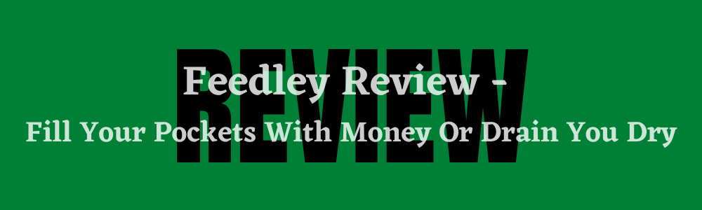 Feedley Review feature