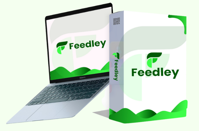 feedley review mock up
